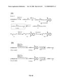 Compositions Containing, Methods Involving, and Uses of Non-Natural Amino Acids and Polypeptides diagram and image