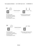 Compositions Containing, Methods Involving, and Uses of Non-Natural Amino Acids and Polypeptides diagram and image