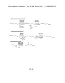 Compositions Containing, Methods Involving, and Uses of Non-Natural Amino Acids and Polypeptides diagram and image