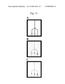 System and Method for Biological Assays diagram and image