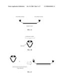 Conformationally Constrained Analytical Probes diagram and image