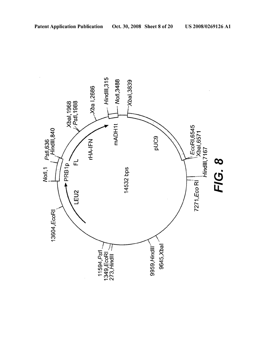 Albumin Fusion Proteins - diagram, schematic, and image 09