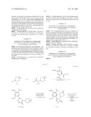 Novel Hsp90 Inhibitor diagram and image