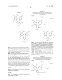 Novel Hsp90 Inhibitor diagram and image