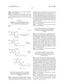 Novel Hsp90 Inhibitor diagram and image