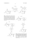 HYDRAZIDE-CONTAINING HEPATITIS C SERINE PROTEASE INHIBITORS diagram and image