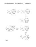 Biologically active taxane analogs and methods of treatment diagram and image