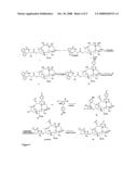 Biologically active taxane analogs and methods of treatment diagram and image