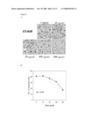 ST104P, AN ANTI-ANGIOGENIC AGENT diagram and image