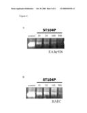 ST104P, AN ANTI-ANGIOGENIC AGENT diagram and image