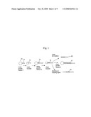 Catalytic Olefin Block Copolymers with Controlled Block Sequence Distribution diagram and image