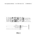 COMPOSITIONS AND METHODS FOR MODULATING LYMPHOCTE ACTIVITY diagram and image