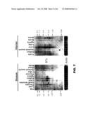 COMPOSITIONS AND METHODS FOR MODULATING LYMPHOCTE ACTIVITY diagram and image