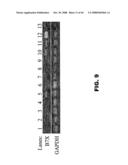 COMPOSITIONS AND METHODS FOR MODULATING LYMPHOCTE ACTIVITY diagram and image