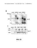 COMPOSITIONS AND METHODS FOR MODULATING LYMPHOCTE ACTIVITY diagram and image