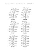 Methods for correcting spinal deformities diagram and image