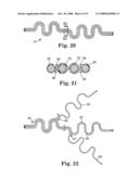 IMPLANTABLE MEDICAL LEADS WITH FLEXIBILITY AND EXTENSIBILITY, AND HAVING A SUBSTANTIALLY TWO-DIMENSIONAL NATURE diagram and image