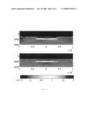 PIXEL BASED INVERSION METHOD FOR SURFACE ELECTROMAGNETIC MEASUREMENT diagram and image