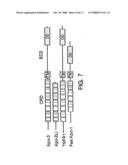 Apo-2LI and Apo-3 polypeptides diagram and image