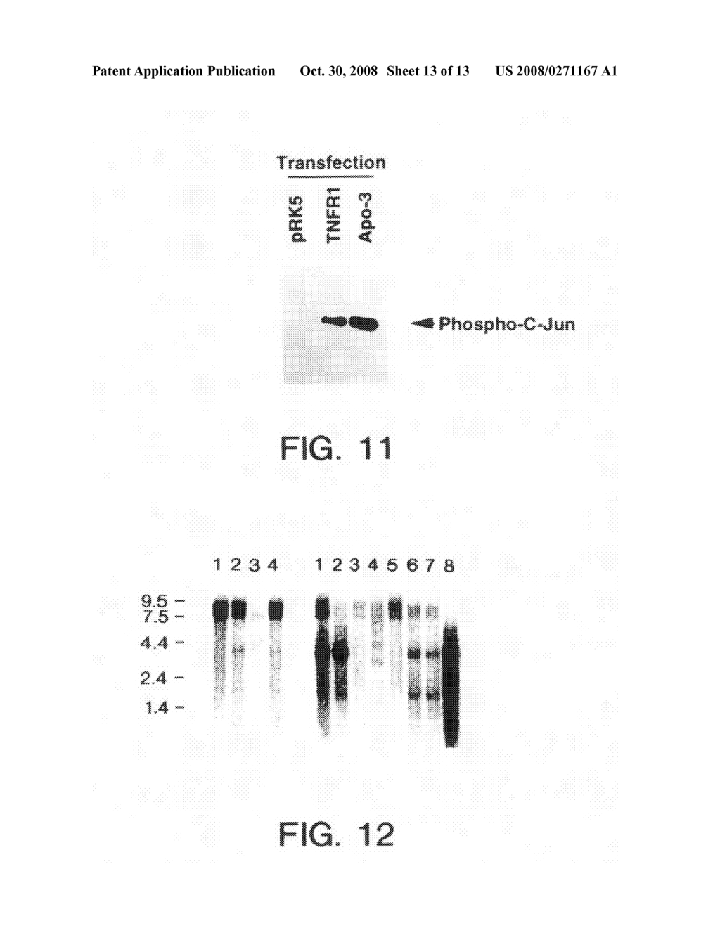 Apo-2LI and Apo-3 polypeptides - diagram, schematic, and image 14