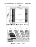 Digital Broadcasting Transmission/Reception System Utilizing Srs and Trs Code to Improve Receiving Performance and Signal Processing Method Thereof diagram and image