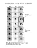 Apparatus and Method for Rapid Microscopic Image Focusing diagram and image