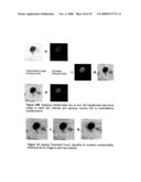 Apparatus and Method for Rapid Microscopic Image Focusing diagram and image