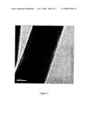 Nanostructured Zinc Oxide and a Method of Producing the Same diagram and image