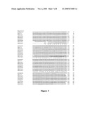 Probiotic Bifidobacterial Species diagram and image