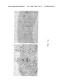 Targeting a Secreted Pro-Apoptotic Factor for Cancer Therapeutics diagram and image