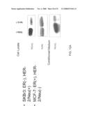 Targeting a Secreted Pro-Apoptotic Factor for Cancer Therapeutics diagram and image