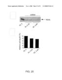 Targeting a Secreted Pro-Apoptotic Factor for Cancer Therapeutics diagram and image