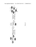 Targeting a Secreted Pro-Apoptotic Factor for Cancer Therapeutics diagram and image