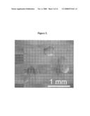 HYDROGELS AND HYDROGEL PARTICLES diagram and image