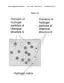 HYDROGELS AND HYDROGEL PARTICLES diagram and image