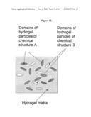 HYDROGELS AND HYDROGEL PARTICLES diagram and image