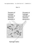 HYDROGELS AND HYDROGEL PARTICLES diagram and image