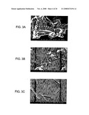 Stabilized Hme Composition With Small Drug Particles diagram and image