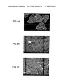 Stabilized Hme Composition With Small Drug Particles diagram and image