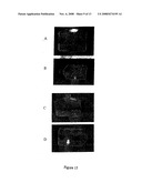 Compositions and Methods for Making and Using Nanoemulsions diagram and image