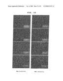 LYOPHILIZED FORMULATION diagram and image