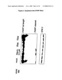 Medicament For The Prevention and Treatment Of Influenza diagram and image