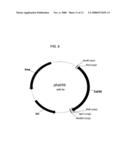 DELTA-5 DESATURASES AND THEIR USE IN MAKING POLYUNSATURATED FATTY ACIDS diagram and image