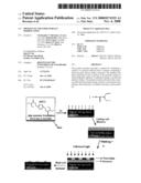 Photolytic Polymer Surface Modification diagram and image