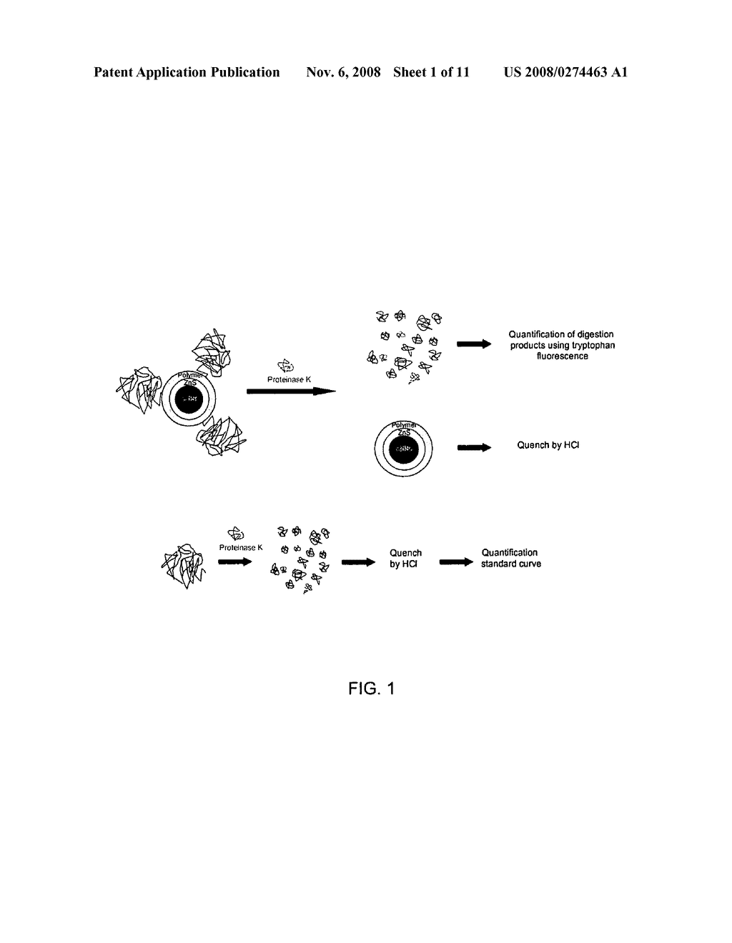 Method for quantifying biomolecules conjugated to a nanoparticle - diagram, schematic, and image 02