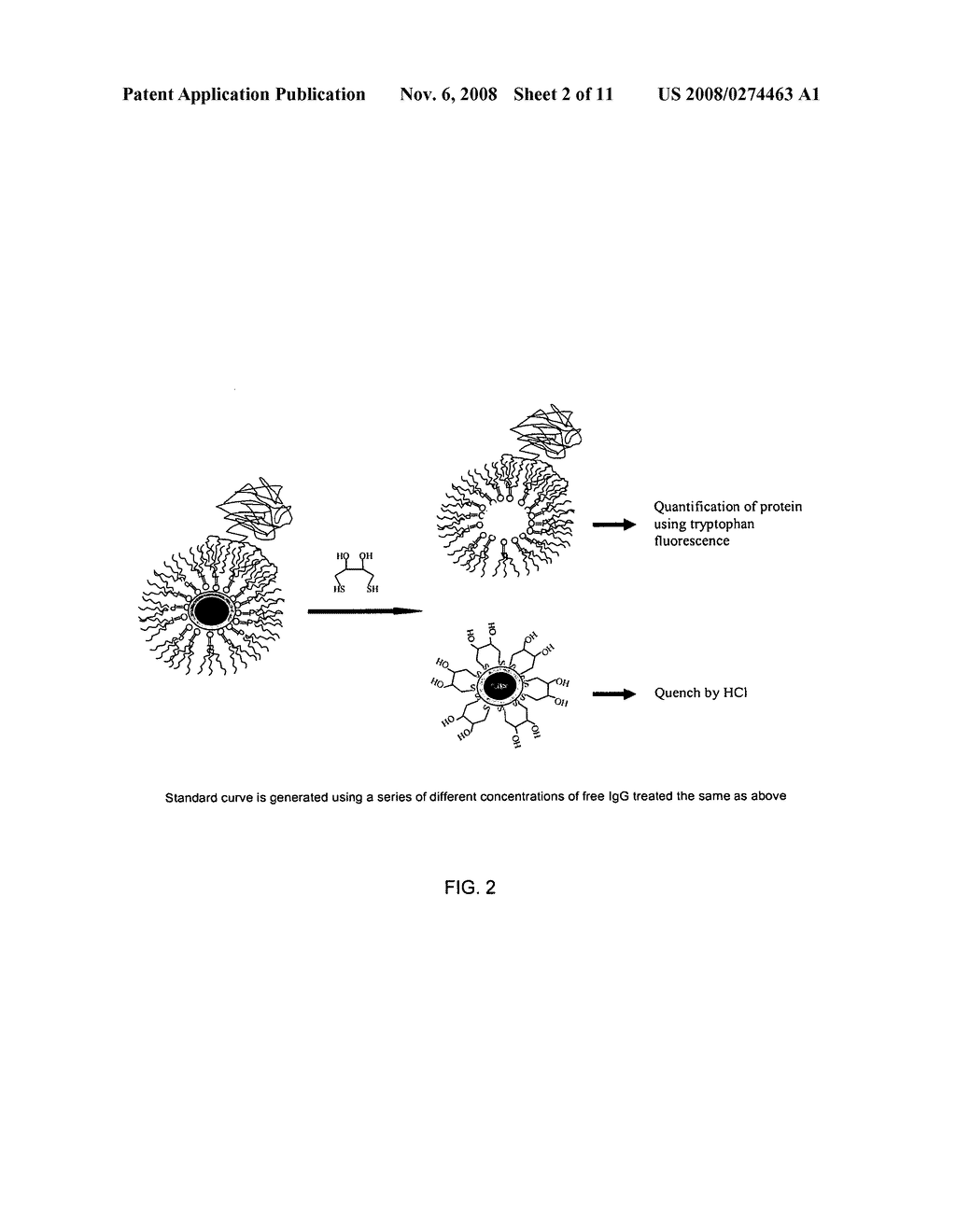 Method for quantifying biomolecules conjugated to a nanoparticle - diagram, schematic, and image 03