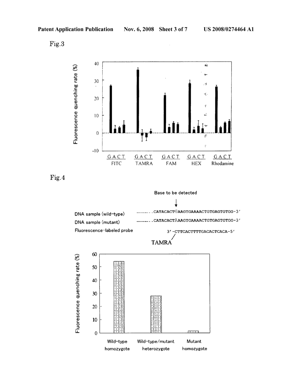 Gene Detecting Method - diagram, schematic, and image 04