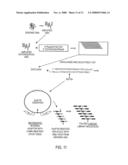 Enrichment Through Heteroduplexed Molecules diagram and image