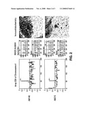 C-Kit Oncogene Mutations in Melanoma diagram and image