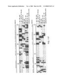 Novel kinases and uses thereof diagram and image